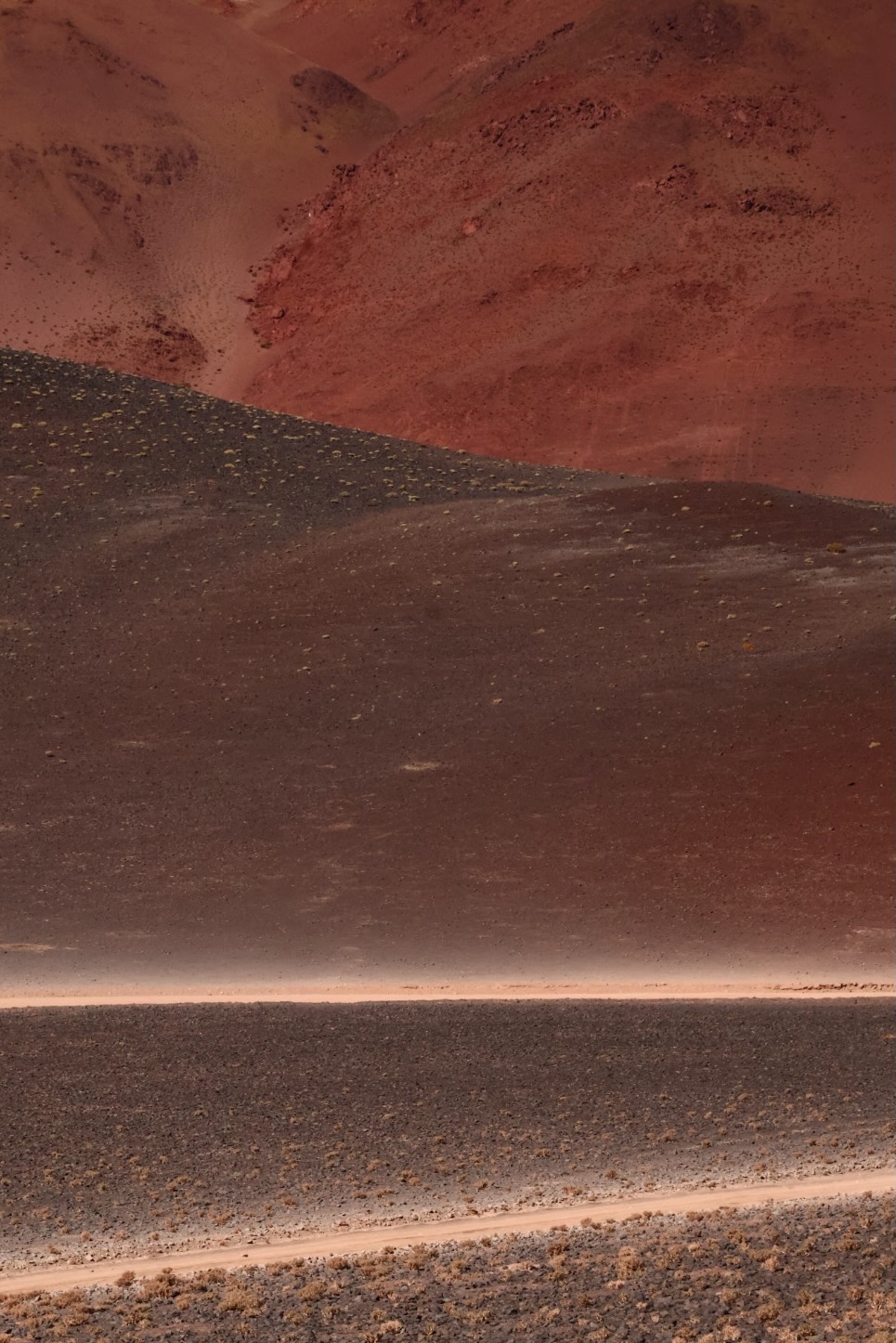 Puna Landscapes - Geometries and Cartographies